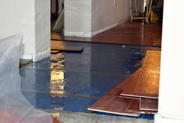 Professional Water Damage Restoration technician working in Brewster, NY